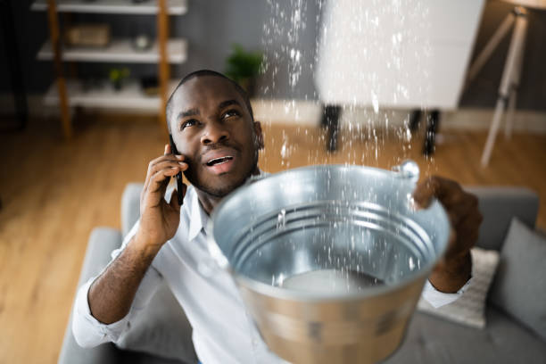 Best Ceiling water damage repair  in Clinton, SC