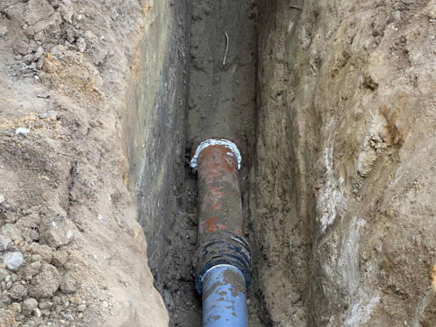 Best Flood restoration services  in Clinton, SC