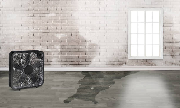 Best Residential water damage restoration  in Clinton, SC