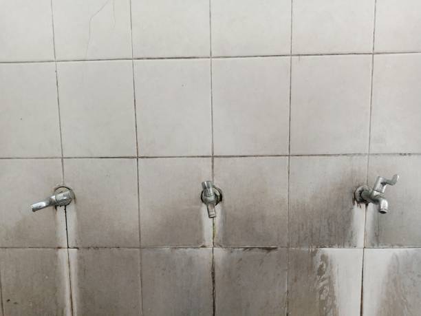 Best Commercial water damage restoration  in Clinton, SC