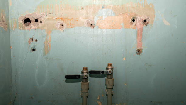 Best Water damage restoration near me  in Clinton, SC